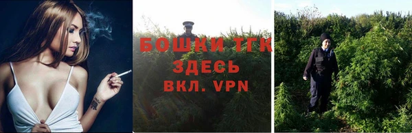 трава Аркадак
