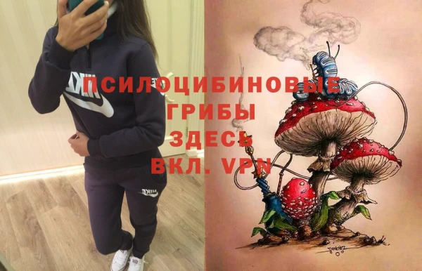 трава Аркадак